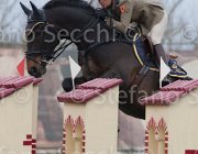 Vizzini Lismeen Lancer TosTour 2013- S4 6889 : Arezzo Equestrian Centre, Lismeen Lancer, Toscana Tour 2013, Vizzini Lucia, foto di Stefano Secchi ©